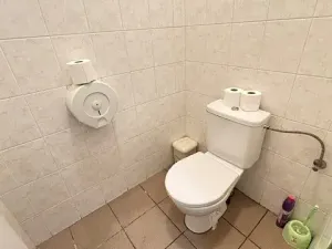 Pronájem skladu, Holešov, 205 m2