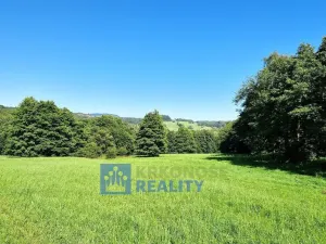 Prodej lesa, Trutnov - Babí, 44299 m2