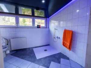 Prodej vícegeneračního domu, Vejprty, 900 m2