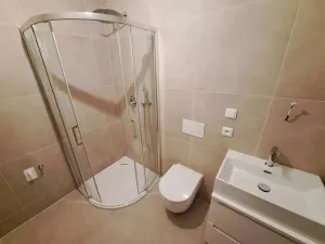 Pronájem bytu 1+kk, Brno, Koliště, 30 m2