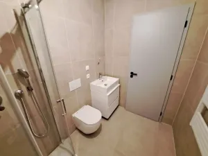 Pronájem bytu 1+kk, Brno, Koliště, 30 m2