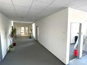 Pronájem kanceláře, Praha - Holešovice, Dělnická, 1252 m2