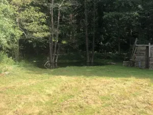 Prodej rybníku, Vítězná, 2385 m2