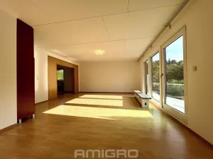 Prodej rodinného domu, Vranov, 220 m2