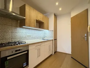 Pronájem bytu 1+kk, Plzeň - Doubravka, Masarykova, 35 m2