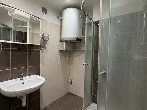 Pronájem bytu 1+kk, Plzeň - Doubravka, Masarykova, 35 m2