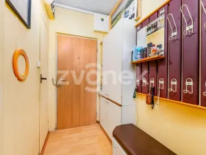Prodej bytu 1+1, Zlín, 2. května, 40 m2