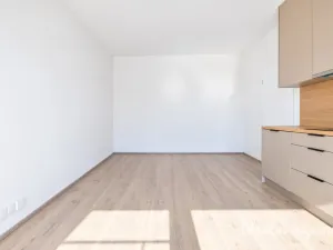 Pronájem bytu 1+kk, Brno - Trnitá, Křenová, 40 m2