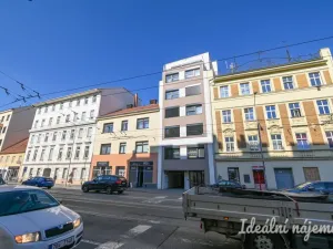 Pronájem bytu 1+kk, Brno - Trnitá, Křenová, 40 m2
