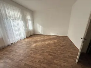 Pronájem bytu 3+1, Želešice, 158 m2