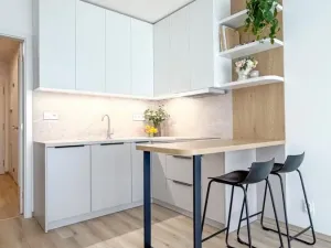Pronájem bytu 2+kk, Prostějov, Dr. Horáka, 50 m2