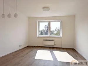 Pronájem bytu 2+kk, Prostějov, Dr. Horáka, 50 m2