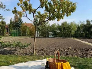 Prodej zahrady, Podivín, Nerudova, 401 m2