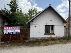 Prodej rodinného domu, Radomyšl - Láz, 90 m2