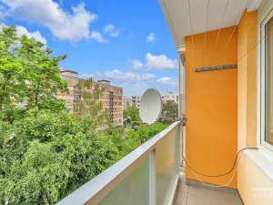 Prodej bytu 3+1, Hradec Králové - Moravské Předměstí, Formánkova, 80 m2
