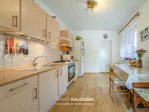 Prodej rodinného domu, Dolní Kounice, Ivančická, 55 m2