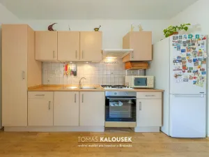 Prodej rodinného domu, Dolní Kounice, Ivančická, 55 m2