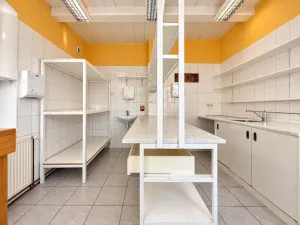 Prodej rodinného domu, Krásná Lípa, Čelakovského, 290 m2