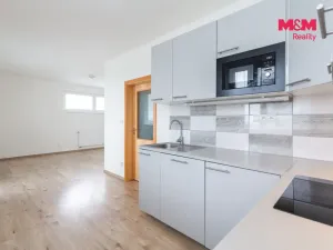 Pronájem bytu 1+kk, Plzeň - Litice, Vysoká, 38 m2