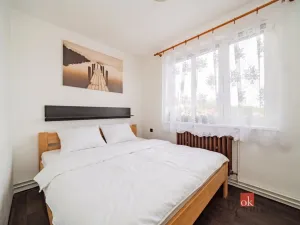 Prodej bytu 4+1, Nová Ves, 70 m2