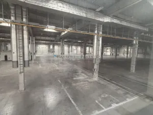 Pronájem výrobních prostor, Ostrava - Kunčičky, Lihovarská, 6000 m2