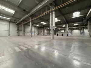 Pronájem výrobních prostor, Ostrava - Kunčičky, Lihovarská, 6000 m2