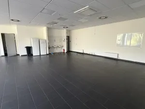Pronájem výrobních prostor, Ostrava - Kunčičky, Lihovarská, 5700 m2