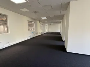 Pronájem výrobních prostor, Ostrava - Kunčičky, Lihovarská, 5700 m2