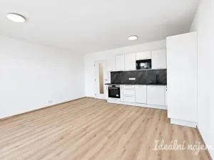 Pronájem bytu 1+kk, Brno - Horní Heršpice, Jižní, 42 m2