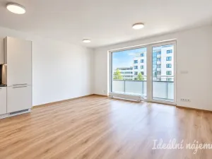 Pronájem bytu 1+kk, Brno - Horní Heršpice, Jižní, 42 m2