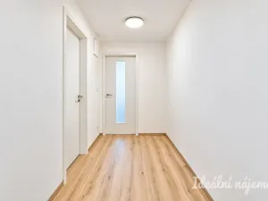 Pronájem bytu 1+kk, Brno - Horní Heršpice, Jižní, 42 m2