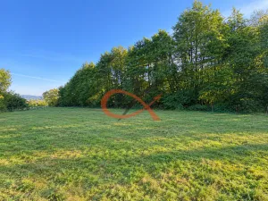 Prodej zahrady, Střítež nad Bečvou, 4190 m2