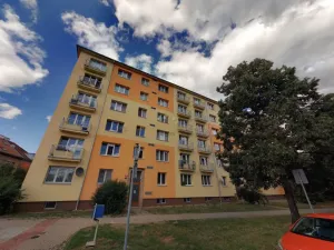 Prodej bytu 2+1, Praha - Žižkov, Pod lipami, 48 m2