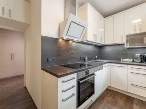 Prodej bytu 2+1, Praha - Žižkov, Pod lipami, 48 m2