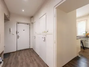 Prodej bytu 2+1, Praha - Žižkov, Pod lipami, 48 m2