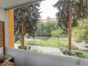 Prodej bytu 2+1, Praha - Žižkov, Pod lipami, 48 m2