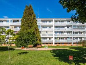 Prodej bytu 3+kk, Pardubice - Polabiny, Družstevní, 60 m2
