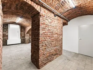Pronájem - jiné, Praha - Nusle, Sezimova, 38 m2