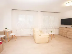 Pronájem bytu 1+kk, Starý Jičín - Vlčnov, 35 m2