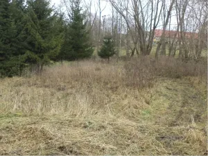 Dražba pozemku, Horní Planá, 1390 m2