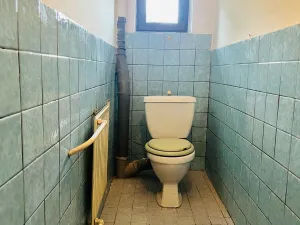 Prodej rodinného domu, Dolní Domaslavice, 175 m2