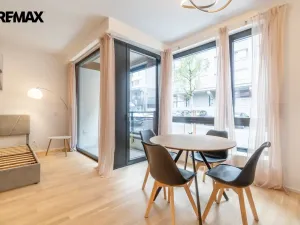Pronájem bytu 1+kk, Praha - Žižkov, Kaplířova, 39 m2