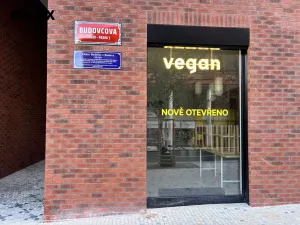 Pronájem bytu 1+kk, Praha - Žižkov, Kaplířova, 39 m2