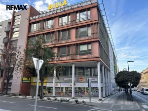 Pronájem bytu 1+kk, Praha - Žižkov, Kaplířova, 39 m2