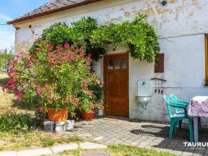 Prodej chalupy, Poděvousy, 97 m2