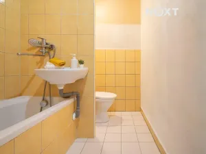 Pronájem bytu 2+kk, České Budějovice, J. Opletala, 35 m2