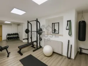Prodej rodinného domu, Zdiby - Přemyšlení, 246 m2