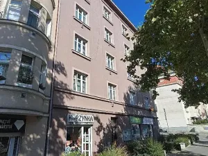 Prodej bytu 2+kk, Praha - Žižkov, Hartigova, 48 m2