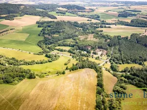 Prodej lesa, Zvěstov, 45954 m2