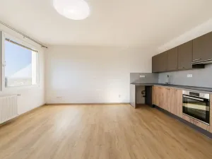 Pronájem bytu 1+kk, Planá, Bohušova, 31 m2